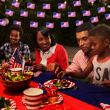 Battery Operated LED American Flag String Lights