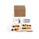 9.8 Ft 30 LED Pumpkin Maples Acorns Fairy Lights