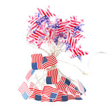 13.1FT 40 LED American Flag Star Lights String 4th of July Lights Battery Operated Fairy Lights