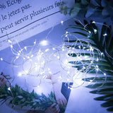 Firefly Starry Lights  Battery Operated Lights Christmas Decoration