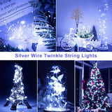 Indoor Fairy Lights, Battery Operated with Remote, Christmas, Party