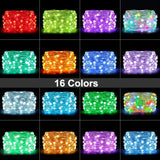 5V10CM Color Changing 32.8 FT 100 LED Christmas Pebble String Lights