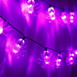 40 LED Purple Spider Halloween String Lights with Timer