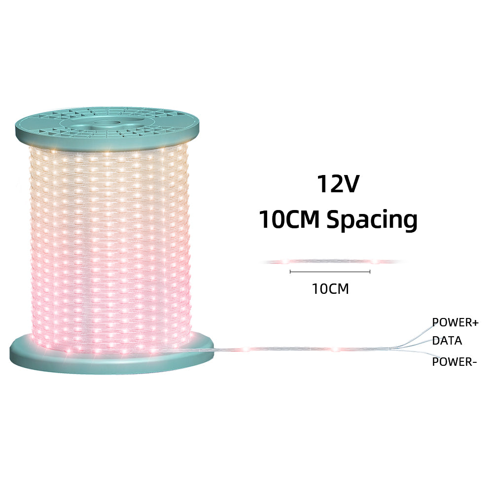 12V10CM Color Changing 32.8 FT 100 LED ChristmasPixel String Lights