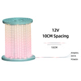 12V10CM Color Changing 32.8 FT 100 LED ChristmasPixel String Lights