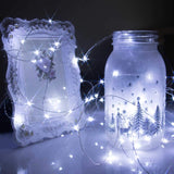 Firefly Starry Lights  Battery Operated Lights Christmas Decoration