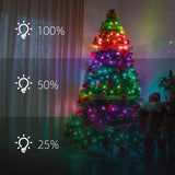 5V10CM Color Changing 32.8 FT 100 LED Christmas Pebble String Lights